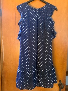 J.Crew Navy Polka Dot Ruffle Dress